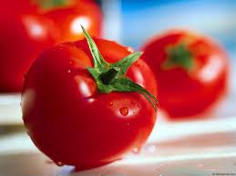 Выращивание томатов-гигантов