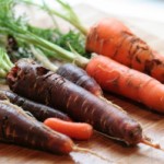 болезни моркови