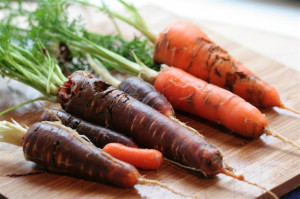 болезни моркови