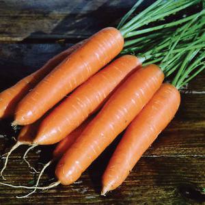 Какие хорошие семена моркови