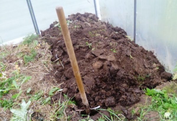 Фото подготовки и удобрения почвы для выращивания томатов, parnik-teplitsa.ru