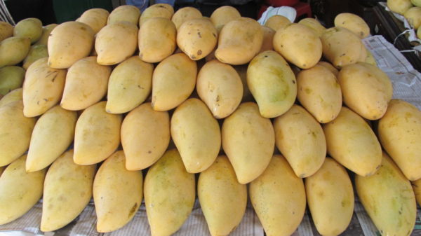 Гигансткие манго
