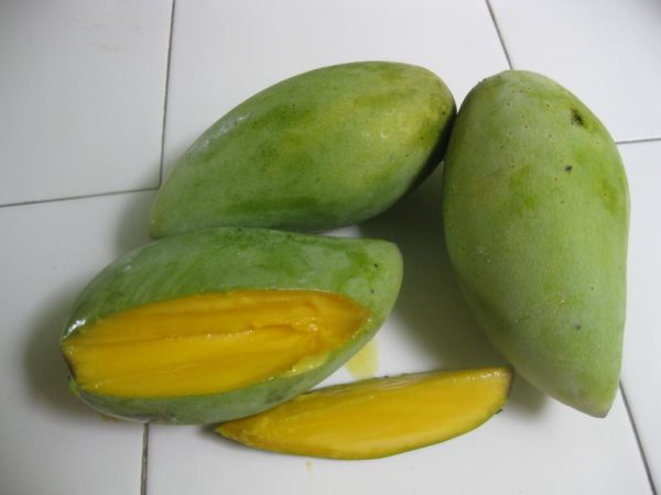 Ok Rhong манго