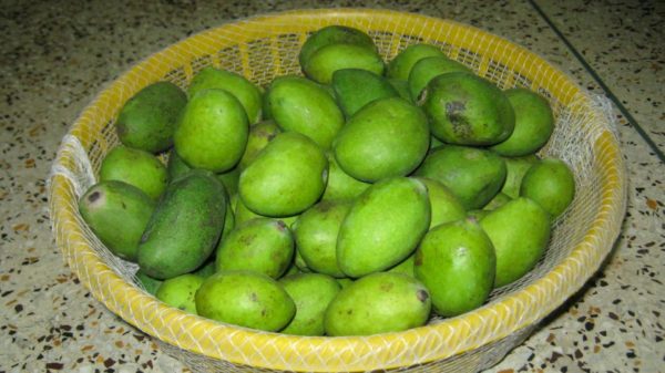 Зелёное манго Gaew Lek