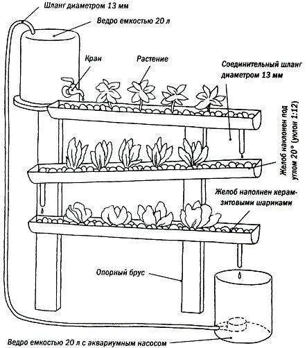 Схема простейшей гидропонной установки