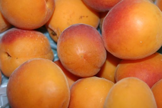 Плоды абрикоса Звёздный