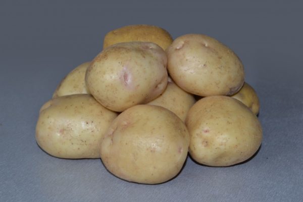 Клубни картофеля Невского