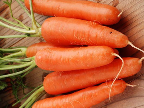 Морковь Фея