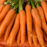 Морковь сорт Хрустяшка